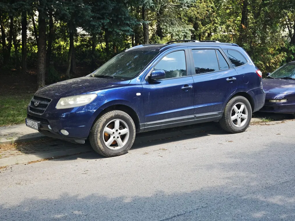 Zdjęcie: 2006 Hyundai Santa Fe