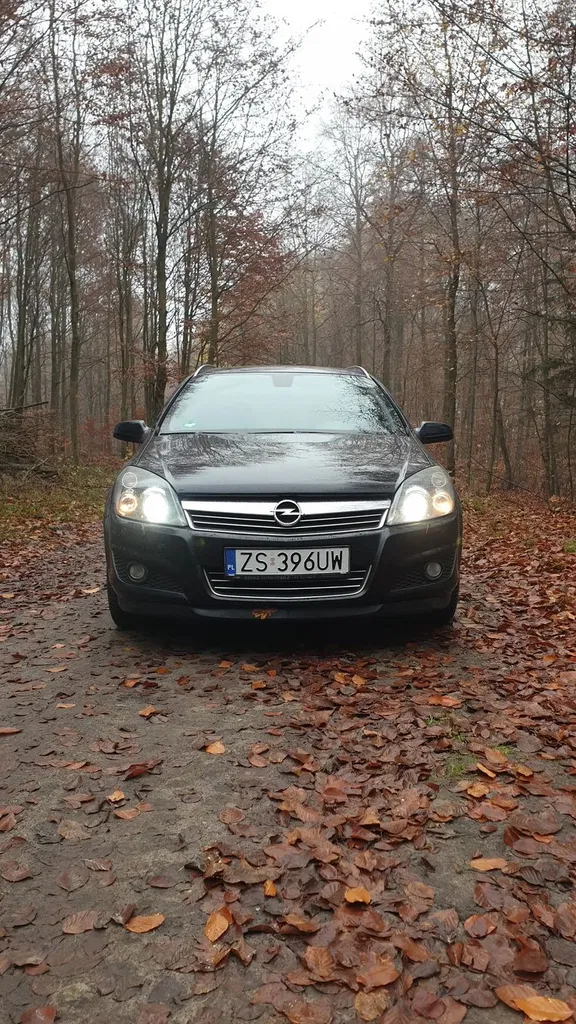 Zdjęcie: 2008 Opel Astra