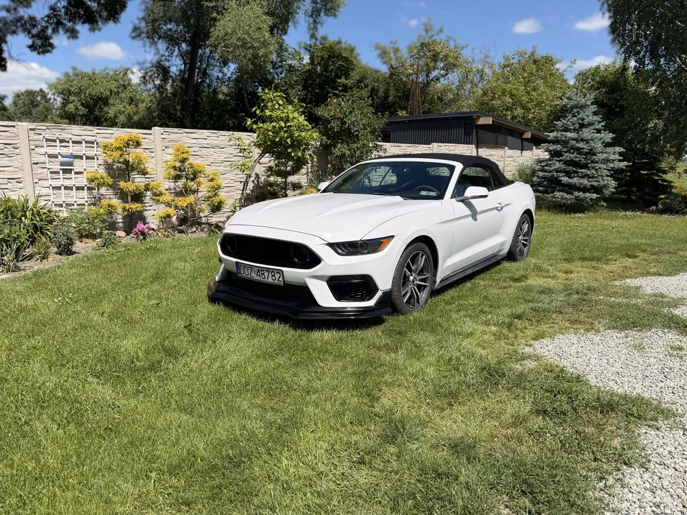Zdjęcie: 2017 Ford Mustang