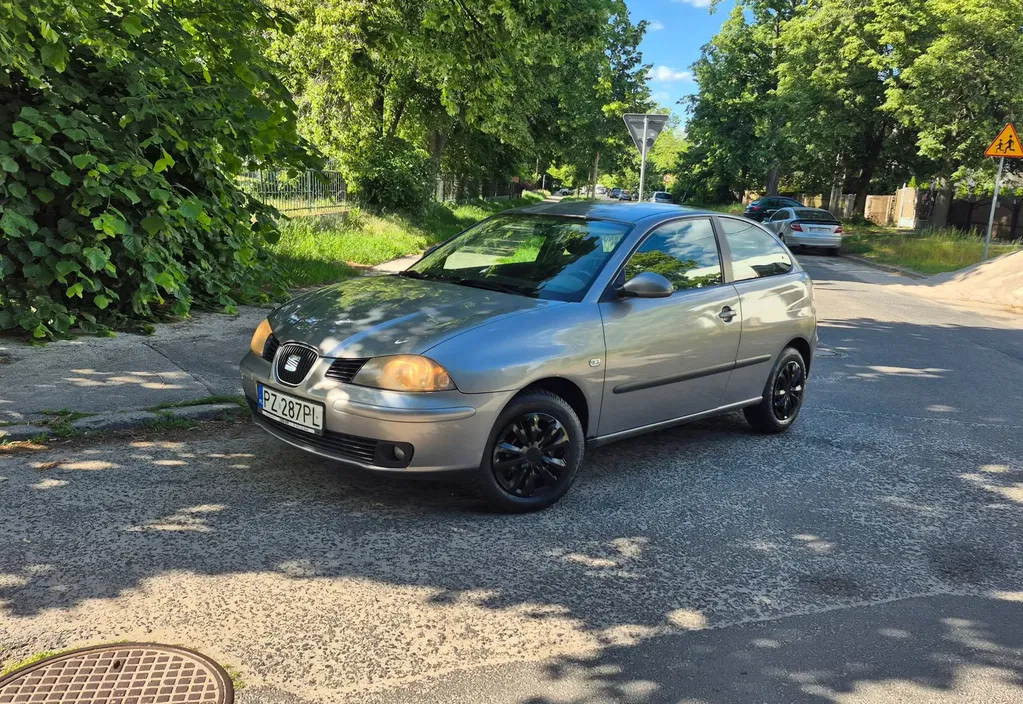 Zdjęcie: 2004 Seat Ibiza