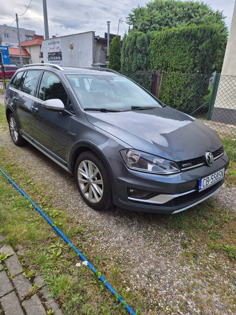 Zdjęcie: 2016 Volkswagen Golf Alltrack