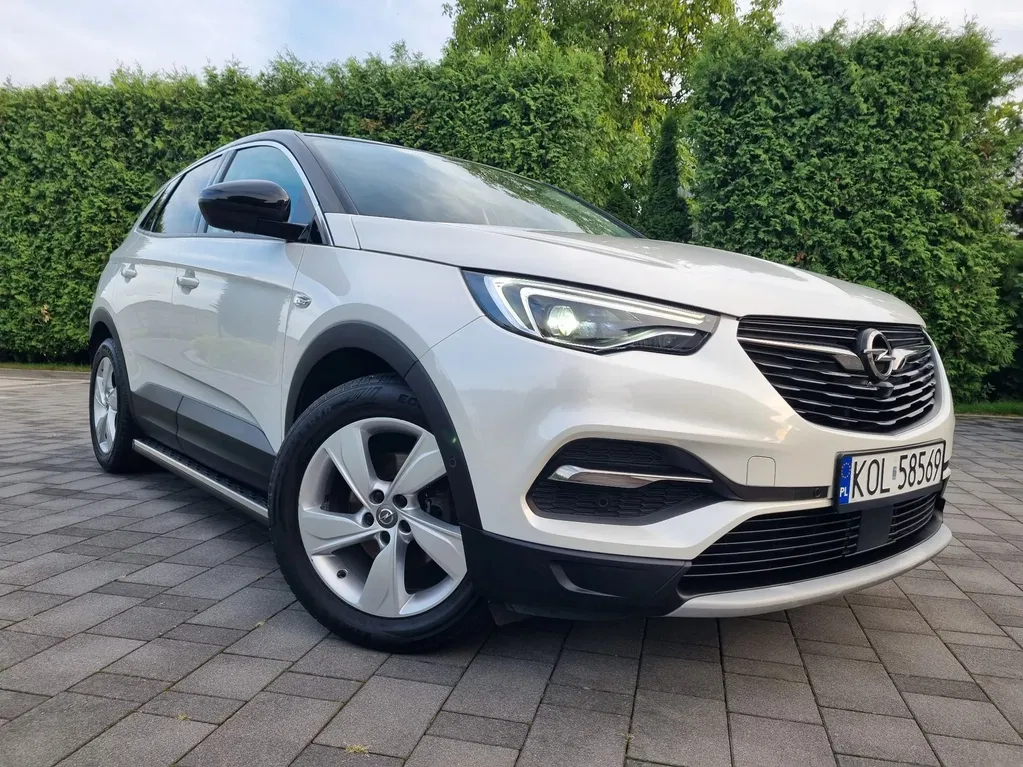 Zdjęcie: 2019 Opel Grandland X