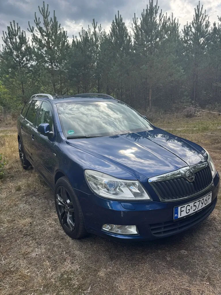 Zdjęcie: 2009 Skoda Octavia