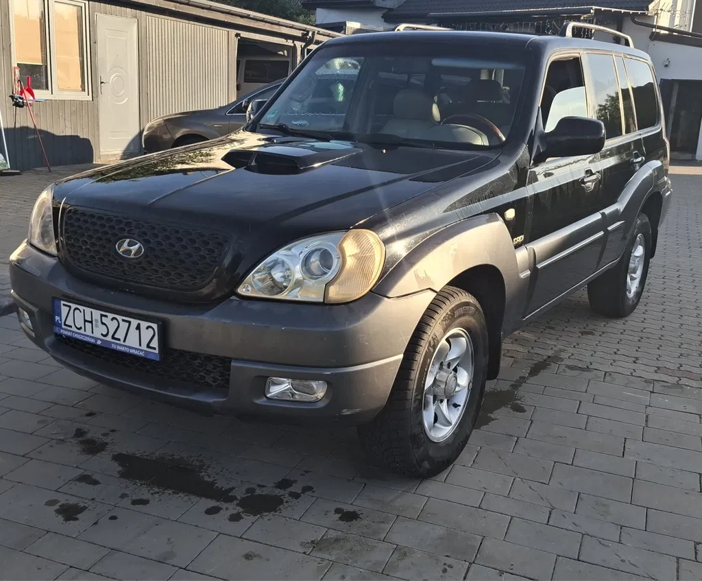 Zdjęcie: 2006 Hyundai Terracan