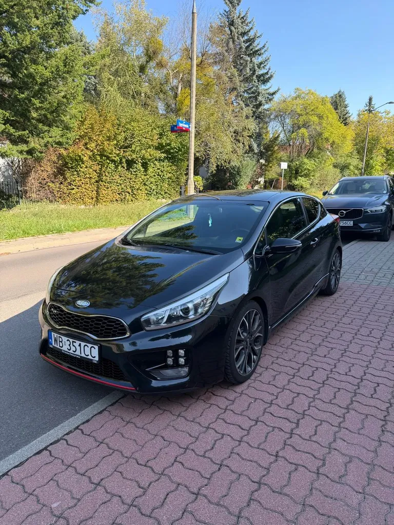 Zdjęcie: 2013 Kia Pro_Cee'd