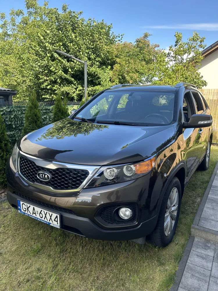 Zdjęcie: 2010 Kia Sorento