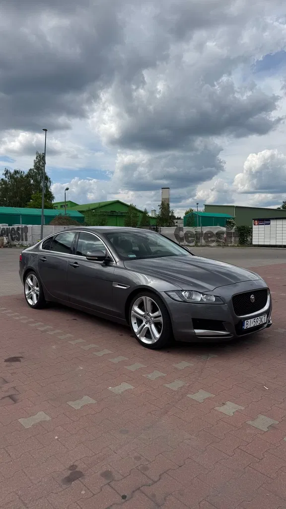 Zdjęcie: 2015 Jaguar XF