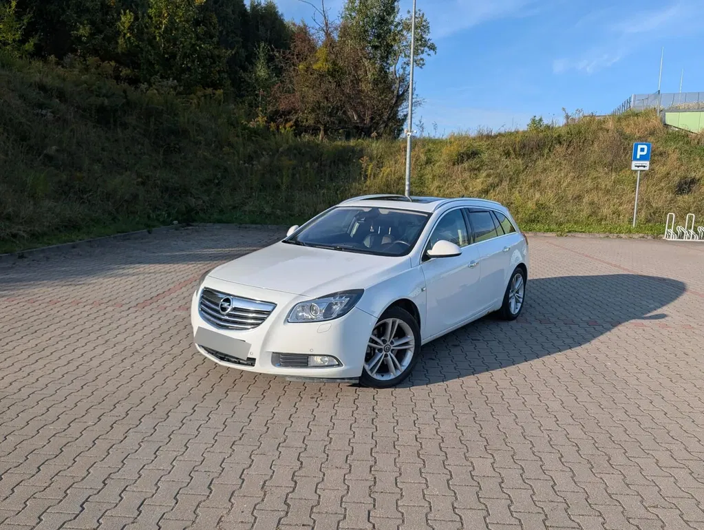 Zdjęcie: 2009 Opel Insignia