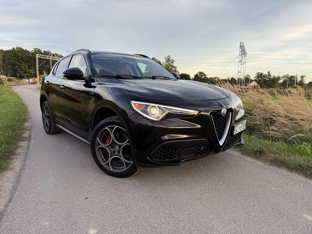 Zdjęcie: 2017 Alfa Romeo Stelvio