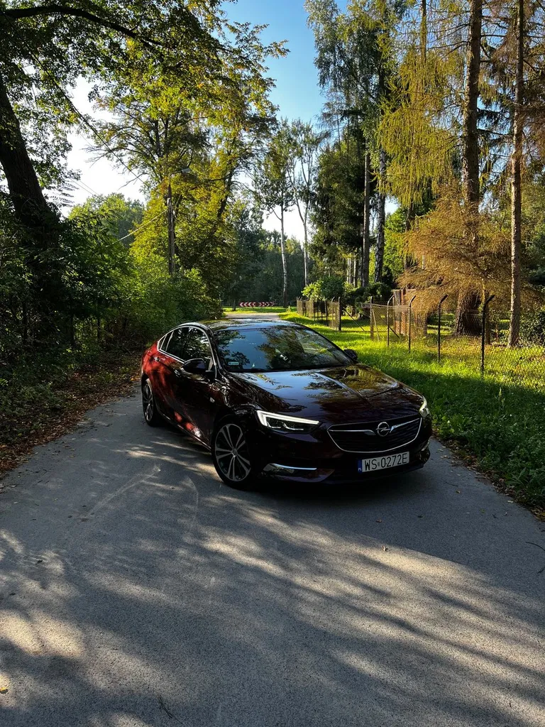 Zdjęcie: 2019 Opel Insignia