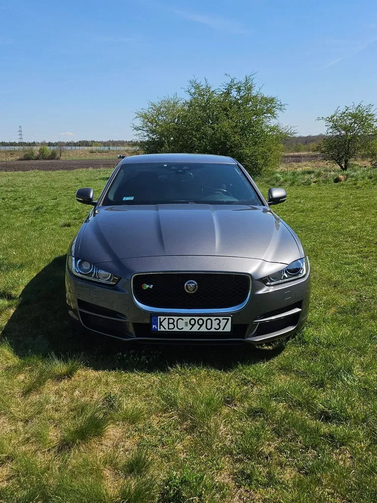 Zdjęcie: 2017 Jaguar XE