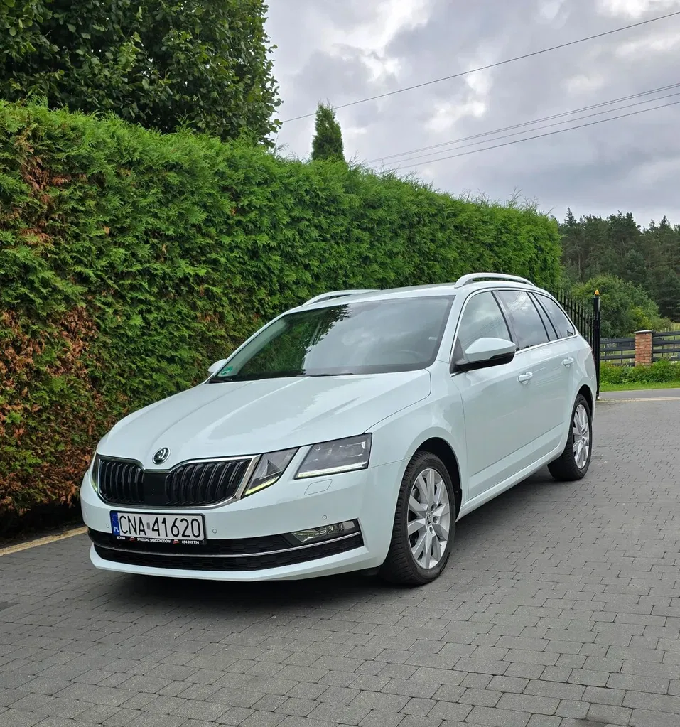Zdjęcie: 2018 Skoda Octavia