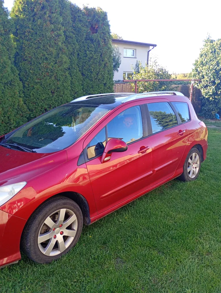 Zdjęcie: 2008 Peugeot 308