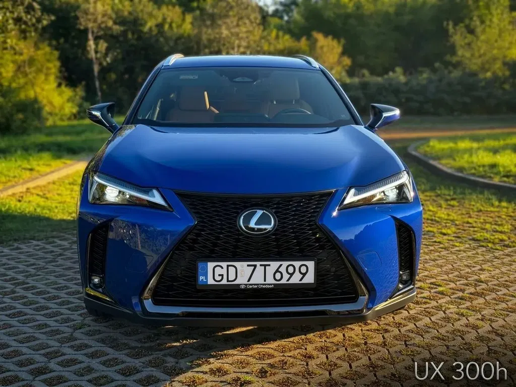 Zdjęcie: 2025 Lexus UX