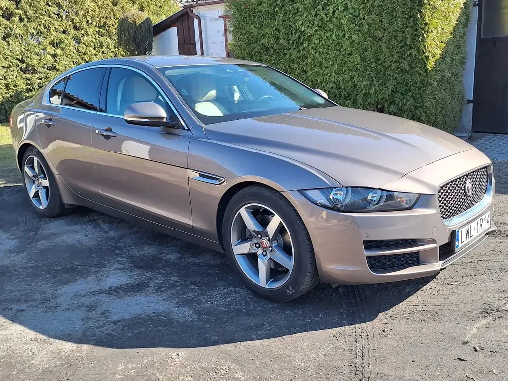 Zdjęcie: 2017 Jaguar XE