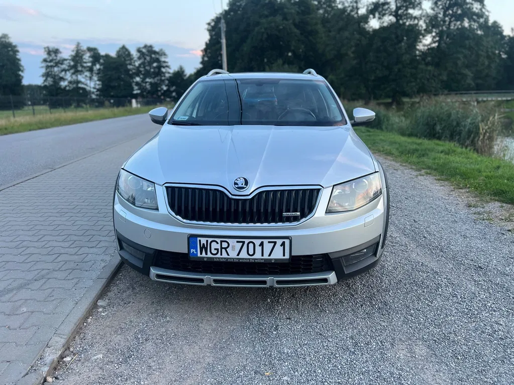 Zdjęcie: 2015 Skoda Octavia