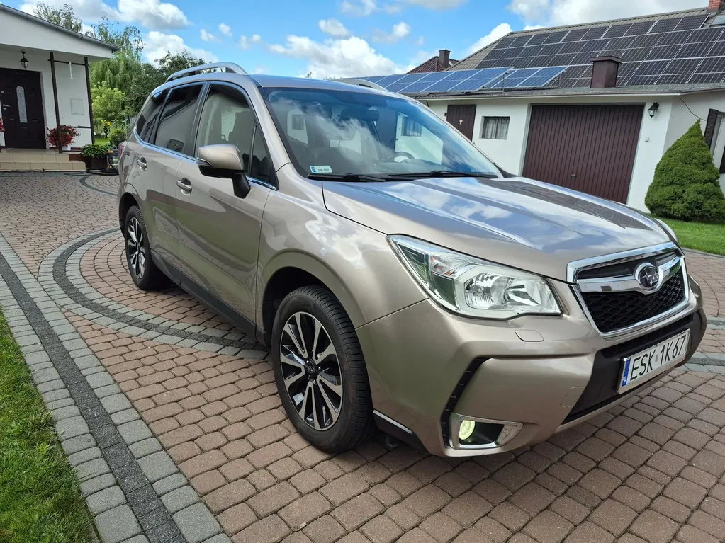 Zdjęcie: 2013 Subaru Forester