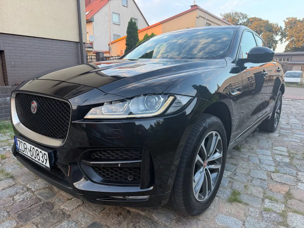 Zdjęcie: 2017 Jaguar F-Pace