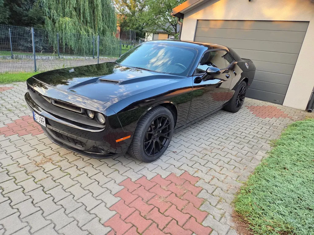 Zdjęcie: 2016 Dodge Challenger
