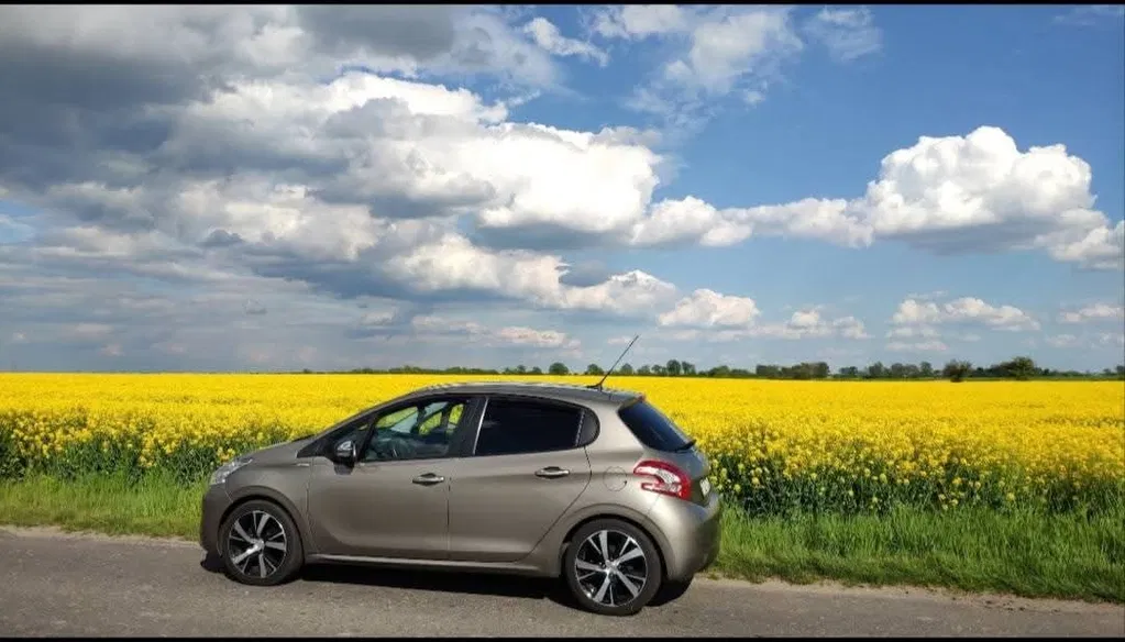 Zdjęcie: 2014 Peugeot 208