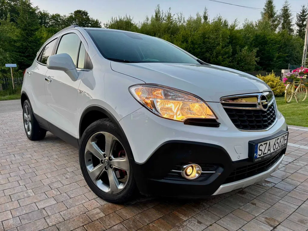 Zdjęcie: 2014 Opel Mokka X