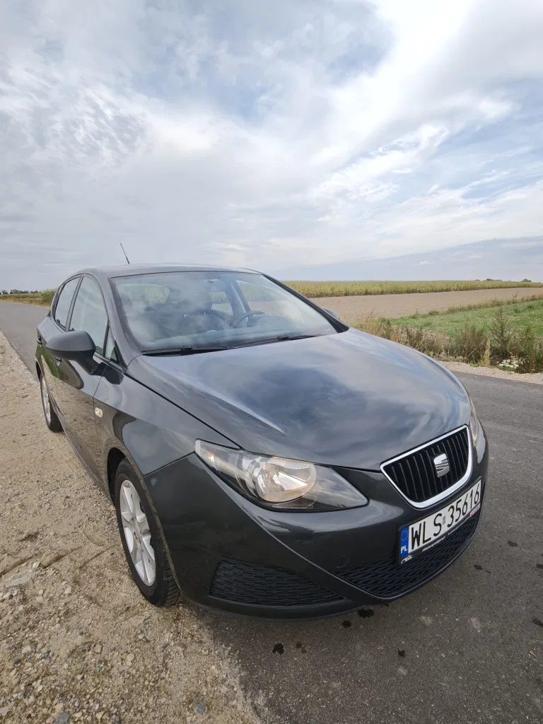Zdjęcie: 2009 Seat Ibiza