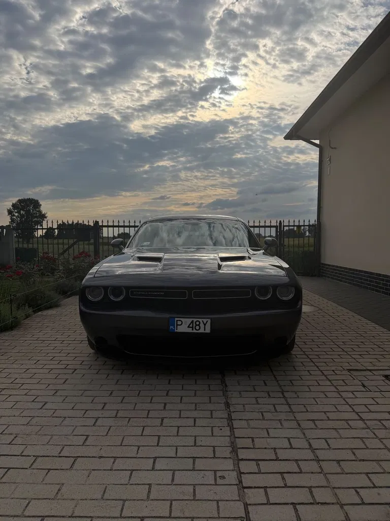 Zdjęcie: 2015 Dodge Challenger