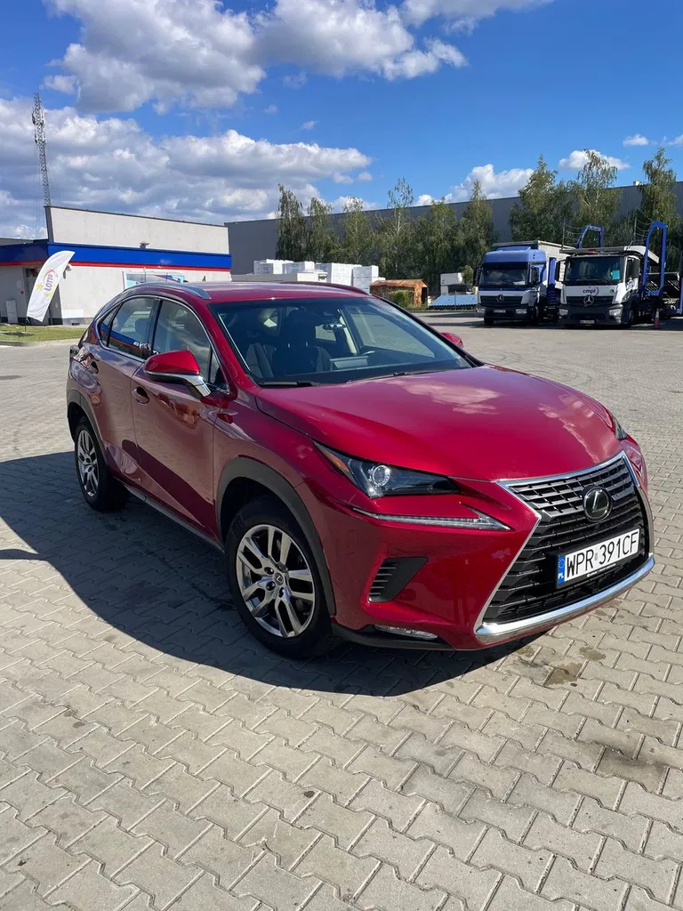 Zdjęcie: 2019 Lexus NX