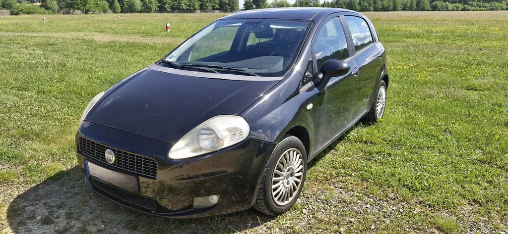 Zdjęcie: 2007 Fiat Grande Punto