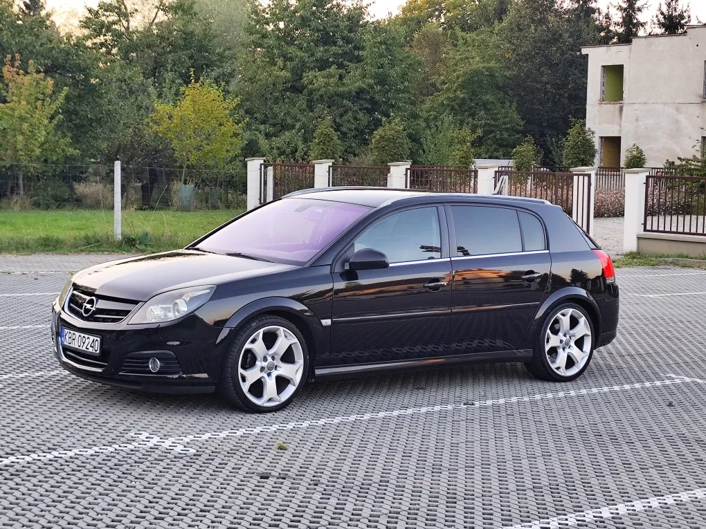 Zdjęcie: 2006 Opel Signum