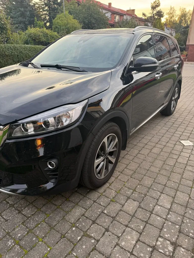 Zdjęcie: 2020 Kia Sorento