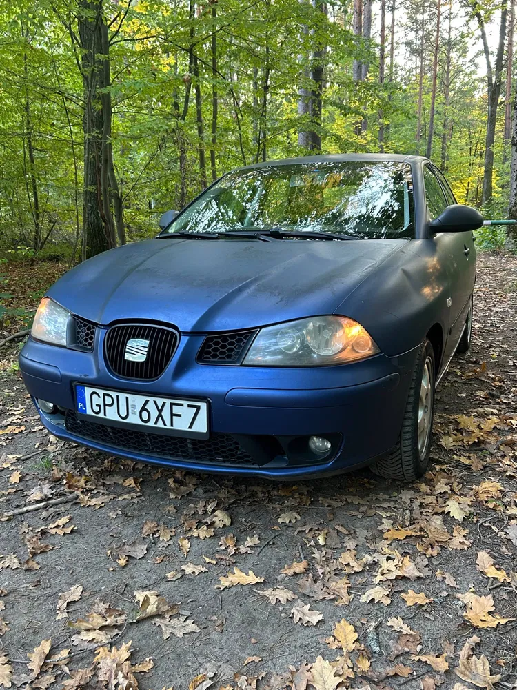 Zdjęcie: 2006 Seat Ibiza