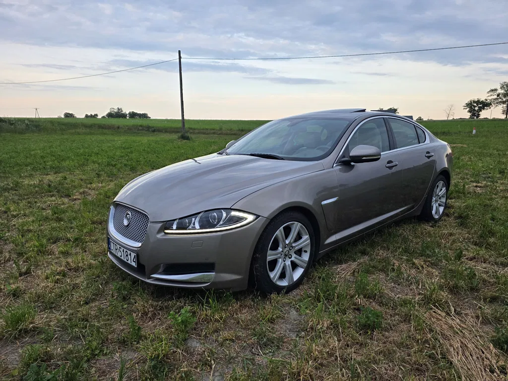 Zdjęcie: 2012 Jaguar XF