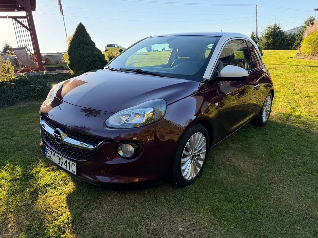 Zdjęcie: 2016 Opel Adam