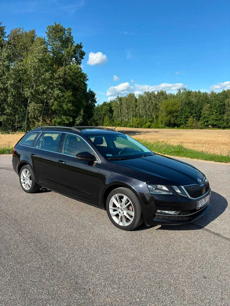 Zdjęcie: 2017 Skoda Octavia