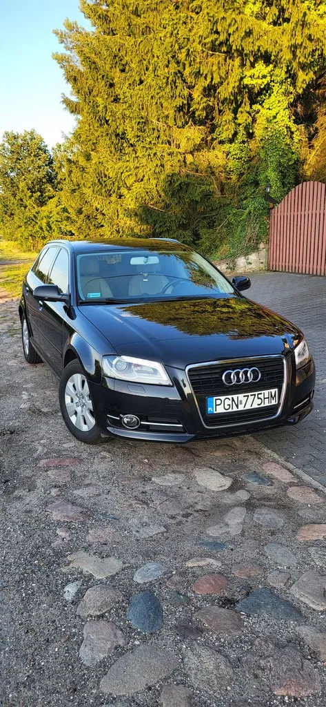 Zdjęcie: 2011 Audi A3 Sportback