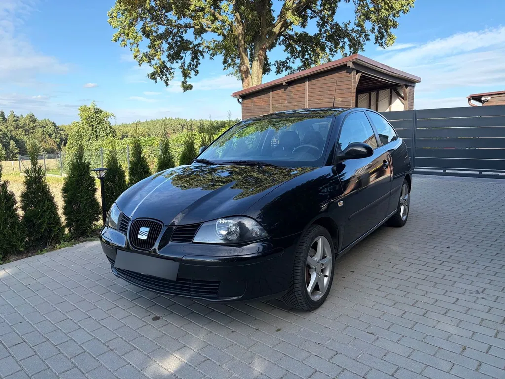 Zdjęcie: 2005 Seat Ibiza