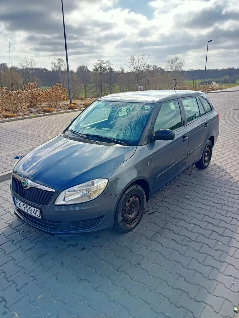 Zdjęcie: 2011 Skoda Fabia