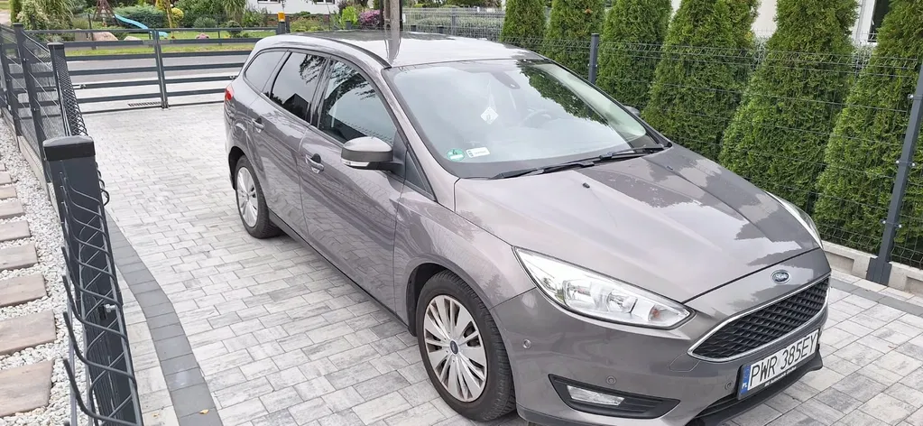 Zdjęcie: 2015 Ford Focus