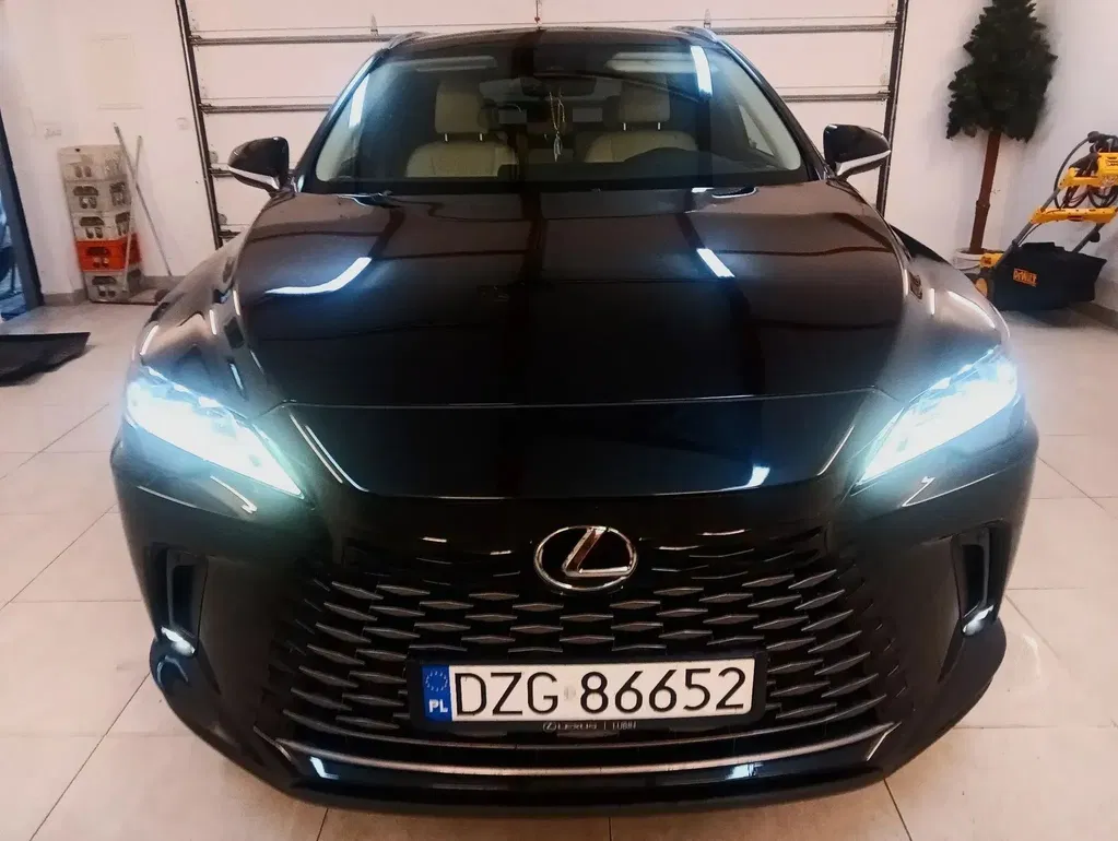 Zdjęcie: 2023 Lexus RX