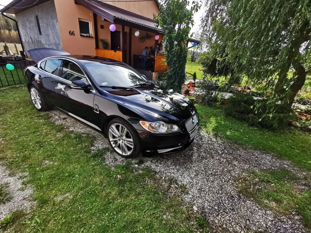 Zdjęcie: 2009 Jaguar XF