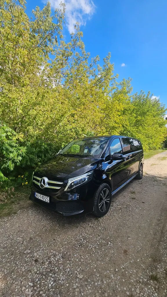 Zdjęcie: 2019 Mercedes-Benz V klasa