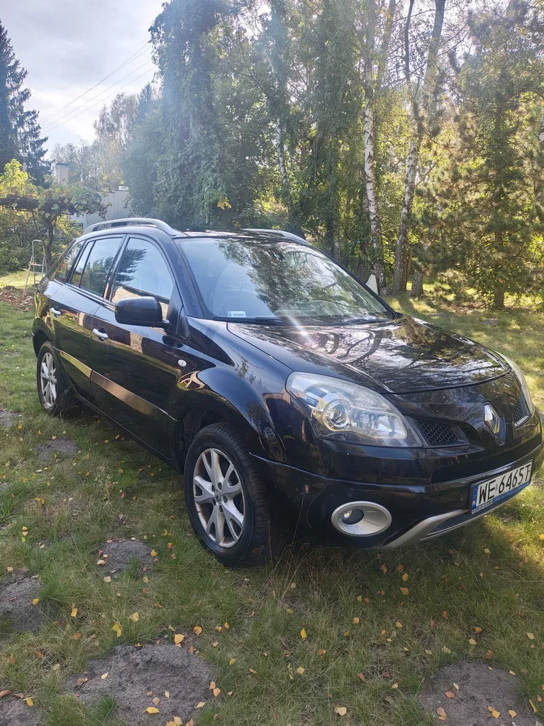 Zdjęcie: 2009 Renault Koleos