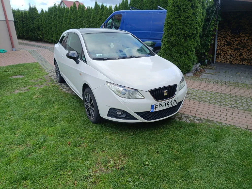 Zdjęcie: 2009 Seat Ibiza