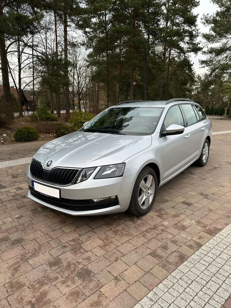 Zdjęcie: 2019 Skoda Octavia
