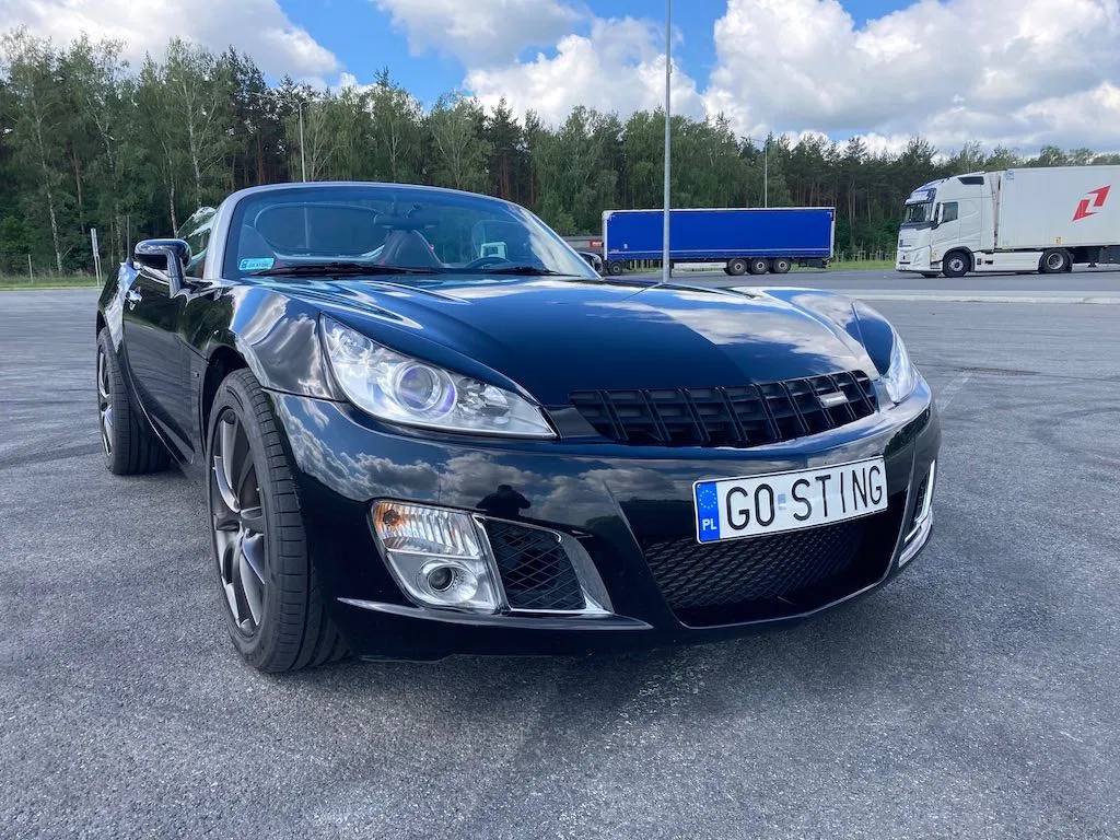 Zdjęcie: 2008 Opel GT