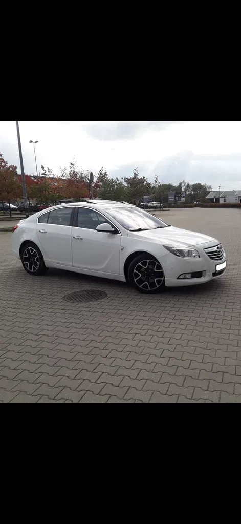 Zdjęcie: 2010 Opel Insignia