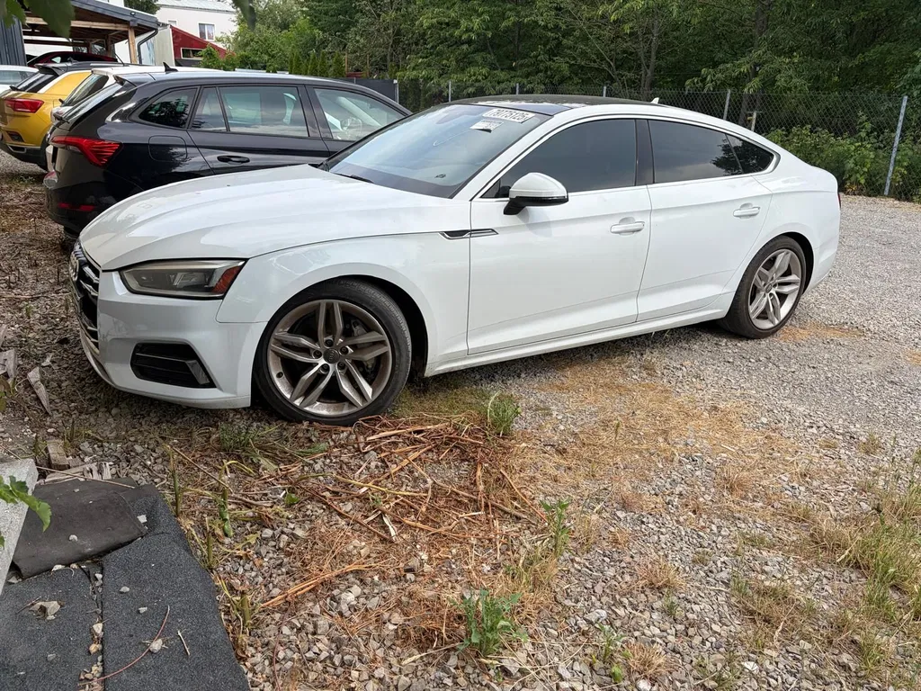 Zdjęcie: 2019 Audi A5 Sportback
