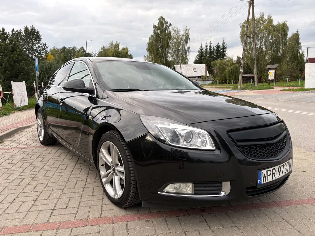 Zdjęcie: 2010 Opel Insignia