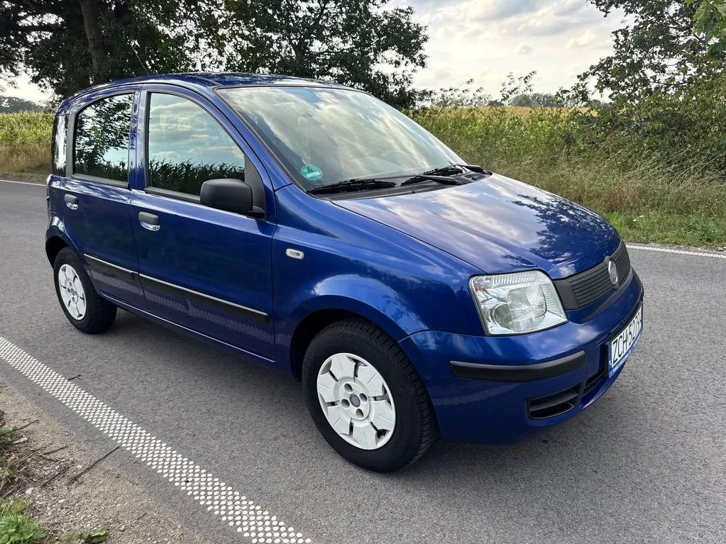 Zdjęcie: 2009 Fiat Panda